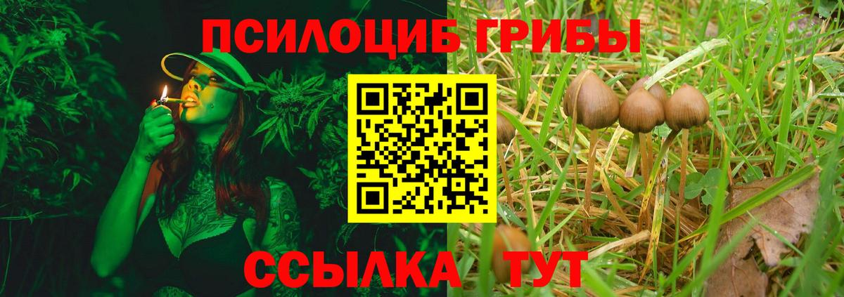 где купить наркоту  Псилоцибиновые грибы прущие грибы  Вход с VPN  Галлюциногенные грибы мухоморы  Рузаевка 